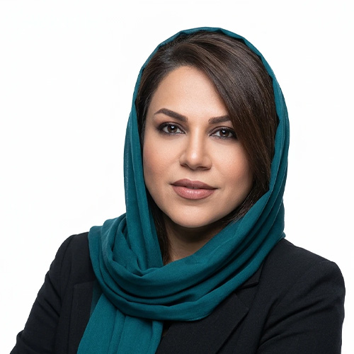الدوز امیرحسینی